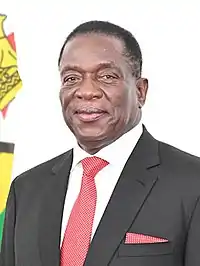 Image illustrative de l’article Président de la république du Zimbabwe
