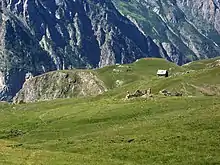 Alpage parsemée de ruines dans une vallée encaissée.