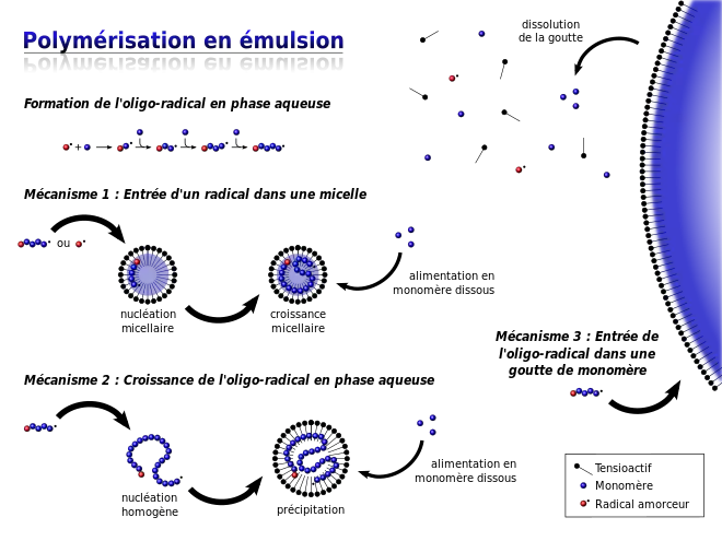 Schéma décrivant les trois mécanismes réactionnels pouvant avoir lieu au cours d'une polymérisation par émulsion : micellaire, homogène, en goutte.