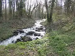 Torrent entre l'avenue des Garennes et la rue Allviger.