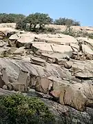 Enchanted Rock.