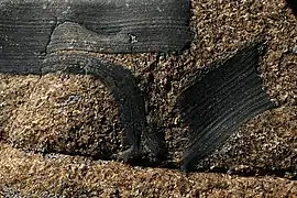 Enclaves angulaires d'encaissant dans le granite de Ploumanac'h.