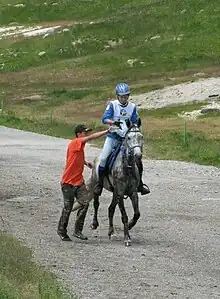Sur une piste de sable gris dans un paysage assez vert, un homme en t-shirt orange court à côté d'un cheval gris foncé au trot en l'arrosant avec une bouteille d'eau; la cavalière du cheval fait de même en l'arrosant avec une seconde bouteille d'eau.
