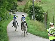 Sur une route bétonnée à la campagne, deux cavaliers montant des chevaux gris arrivent de face, un homme avec un gilet de sécurité jaune fluo leur faisant signe sur la droite.