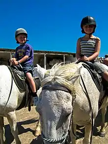 École d'équitation à Beauduc