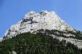 Crête occidentale – Tannenspitze (Grand Dièdre) et Rosenlauistock (arête ouest) vus du nord-ouest : paroi nord (versant de Rosenlaui).
