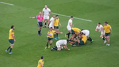 Romain Poite lors de la coupe du monde 2015.