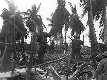 Progression des soldats américains sur l’atoll, encore richement végétalisé à cette époque (bataille d’Eniwetok, 1944).