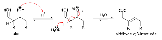 Mécanisme de la crotonisation (condensation) d'un aldol en catalyse acide.