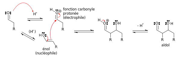 Mécanisme de la réaction aldolique d'un aldéhyde avec lui-même en catalyse acide.