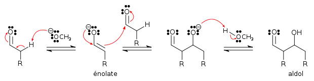 Mécanisme de la réaction d'un aldéhyde avec lui-même en catalyse basique.