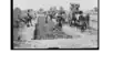 Ensilage de fourrages en silo-fosse, Afrique Occidentale Française, années 1930.