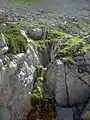 Entrée d'une cavité au milieu d'herbe et de roches.