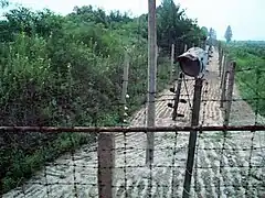 Clôtures électriques de la zone coréenne démilitarisée.