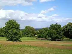 Autre exemple de la variété des paysages sur la commune de Noisy, sur le chemin rural à mi-chemin entre Noisy et Asnières-sur-Oise : l'impression d'un parc s'impose.