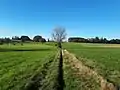 Environs du Gros Chêne aux Granges-de-Plombières.