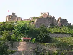 Les ruines du château et ses vignes.