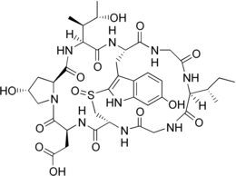 Image illustrative de l’article Epsilon-Amanitine