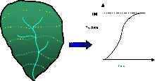 Courbes de temps de parcours égal jusqu'à l'exutoire.