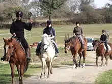 4 cavalières de face en randonnée équestre sur un chemin de terre, le 2e cheval au centre étant de robe blanche.