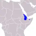 Âne sauvage d'Afrique