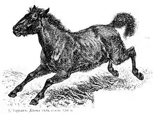Gravure ancienne d'un cheval au galop.