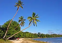 Plage d'Erakor, Éfaté.