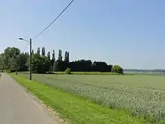 Vue du carreau.