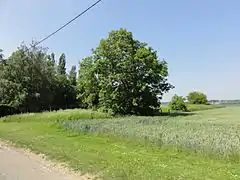 Le carreau de fosse vu depuis la route d'accès.