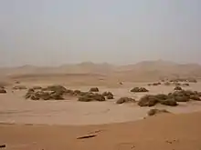 Plus grand erg du Maroc, les dunes de Chigaga se dévoilent imposantes