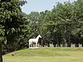 Un monument au cheval le plus célèbre du haras, Ljubičevac