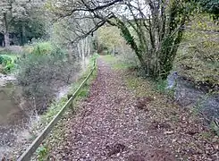 L'Odet (à droite) et l'ancien canal (à gauche), désormais asséché, qui desservait la papeterie Bolloré, entre Stang Luzigou et Coat Piriou (en Ergué-Gabéric)