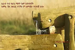 Citation de la Bible en amharique