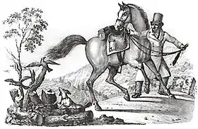 Présumé cheval d'Erlenbach sur une lithographie de 1827