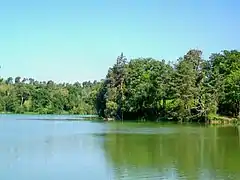 L'étang du Désert ; vue depuis l'ouest de la RN 330.