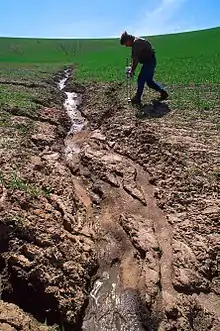 Érosion par ravinement dans un champ cultivé.