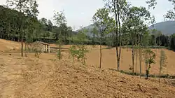 La déforestation détruit les mécanismes naturels de régulation (La déforestation en France)