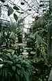 Jardin botanique et serre, Université de Joensuu, A+P, 1985