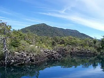 Ancienne coulée volcanique sur la rive nord du lac Huechulafquen, provoquée par une ancienne éruption du volcan Lanín tout proche.