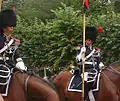 Cavaliers de l'Escorte royale à cheval.