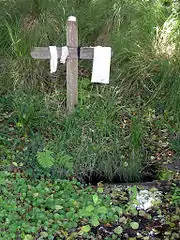 Saint-Antoine de la Traverse d'Escource. Les malades laissent leurs linges usagés près de la fontaine comme des ex-voto.