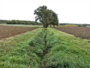 L'Escourou à sec en limite de Mescoules (à gauche) et Saint-Julien-d'Eymet.