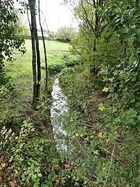 L'Escourou au sud du lieu-dit Lestang, en limite de Sainte-Innocence (à gauche) et Fonroque.