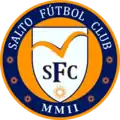 Logo du Salto FC