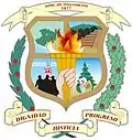 Blason de Tingambato