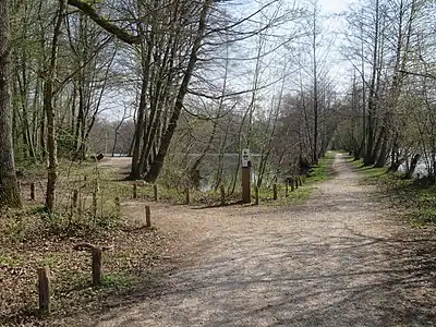 Chemins le long de l’étang et en bord de Seine