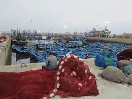 Flotte traditionnelle de sardiniers du port d'Essaouira au Maroc