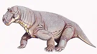 Estemmenosuchus, un dinocéphale.