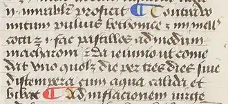 Détail d'une page de manuscrit montrant 7 lignes de texte en gothique, la première et la dernière comprenant un pied-de-mouche respectivement rouge et bleu.