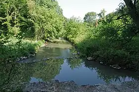Photogtaphie en couleurs d'un ruisseau entre deux rives arborées.